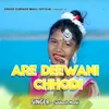 Are Deewani Chhodi